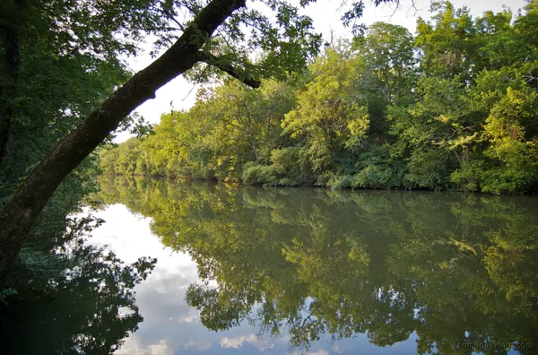 Police arrest Donelson man after alleged knife threat toward runner at Stones River Greenway trailhead