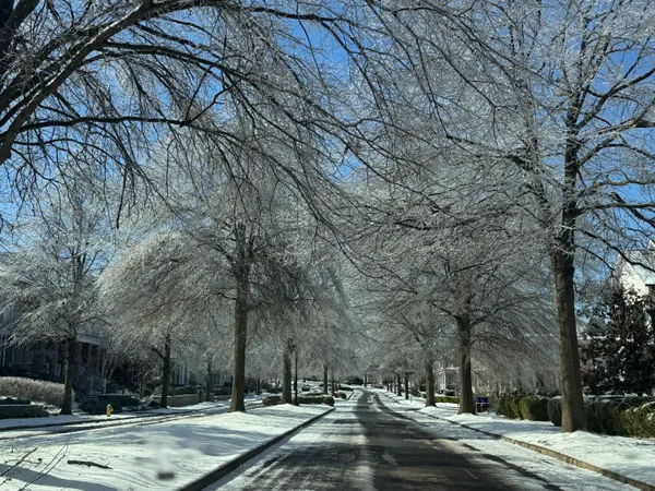 Small Nashville Businesses Face Slow Post-Storm Recovery After January 2026 Ice, Outages, and Closures