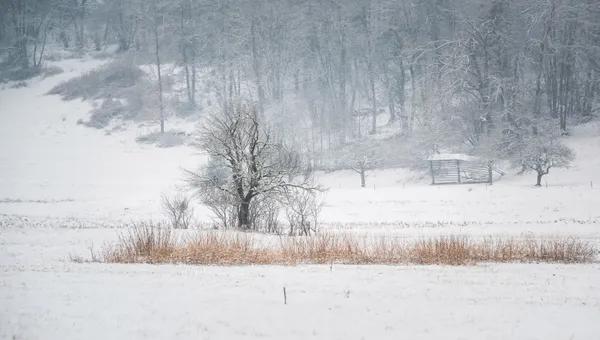 A Foggy Calm Before the Looming Winter Storm