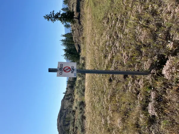 Official Roundup: Nashville Road Closures and Public Health Advisories