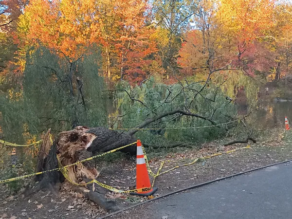 Winter Storm Fern Damages Nashville Metro Parks, With Nearly 6,000 Trees Down Across Systemwide Green Space