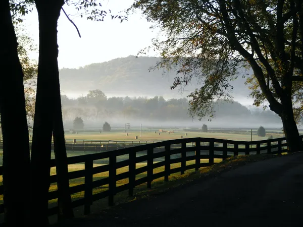 Percy Warner Park to reopen Saturday after ice storm cleanup, with some trail areas still closed