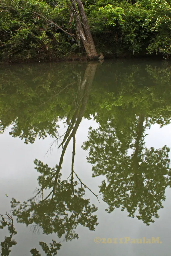 Tennessee lawmakers propose Alyssa Lokits Safety Act to standardize safety planning across parks and greenways