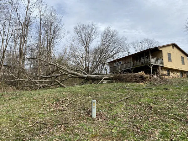 Ice storm knocks trees onto East Nashville streets, triggering widespread outages and hazardous travel conditions